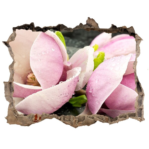 3D wall hole wallpaper Magnolia flowers through a hole in the wall