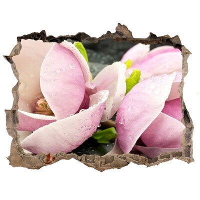 3D wall hole wallpaper Magnolia flowers through a hole in the wall