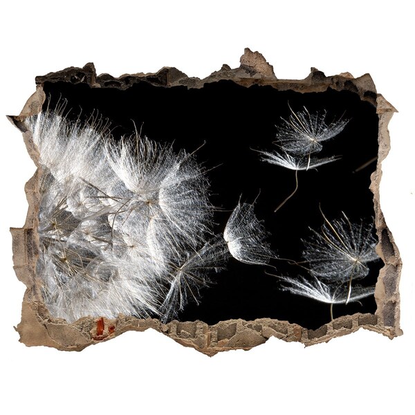 Hole wall sticker Dandelions in black space