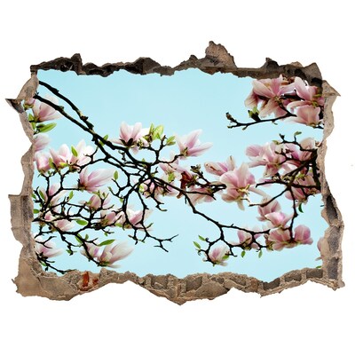 Hole wall sticker Spring magnolias in a blue sky