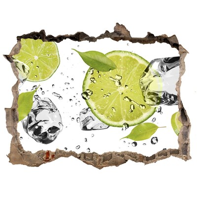 Hole in the wall decal Lime and water