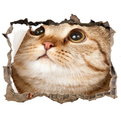 Hole in the wall sticker Cat in a hole in the wall
