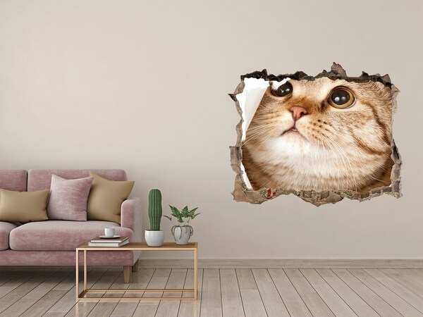 Hole in the wall sticker Cat