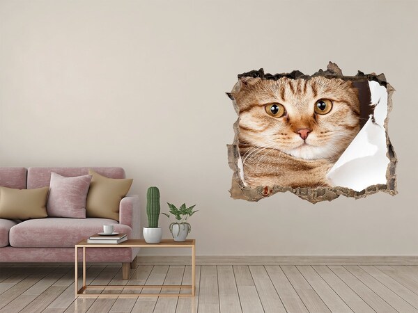 Hole in the wall sticker Cat