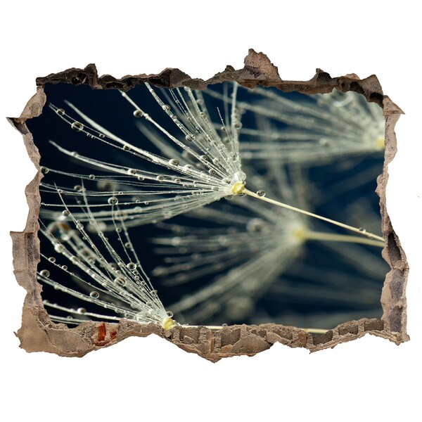 Hole in the wall decal Dandelion seeds