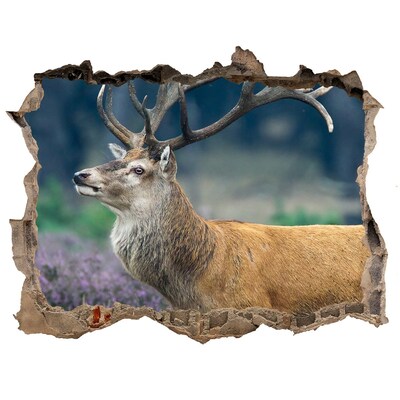Hole in the wall sticker Deer in its natural habitat