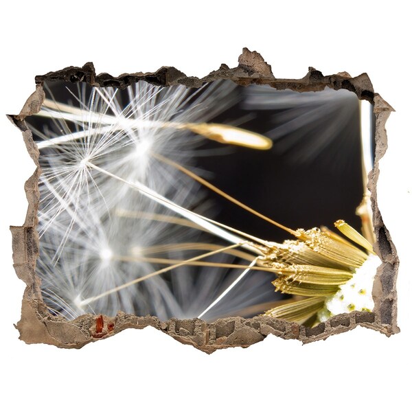 3D wall hole wallpaper Flower Dream Through a Hole in the Wall