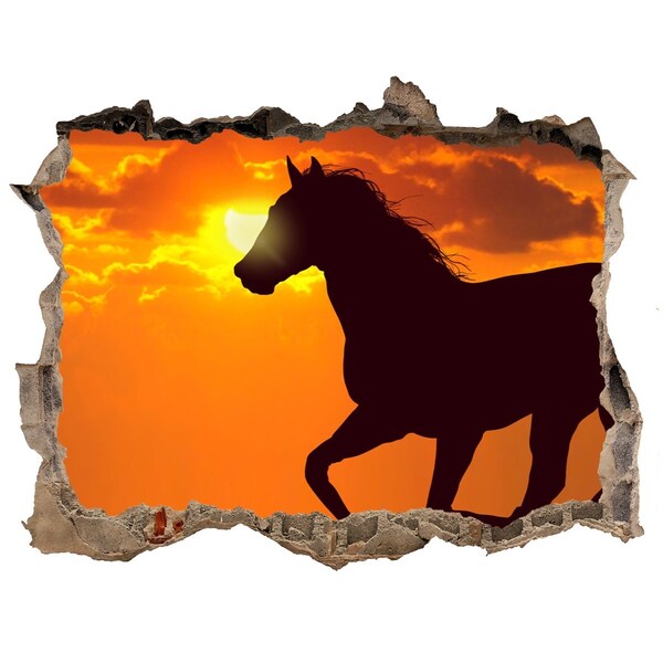 Hole wall sticker Horse at sunset