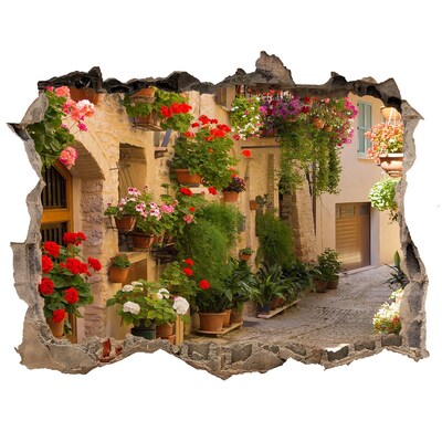 Hole in the wall sticker A charming street with flowers