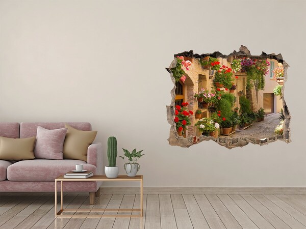 Hole in the wall sticker A charming street with flowers