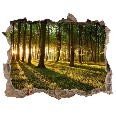 Hole in the wall decal Golden forest in the morning