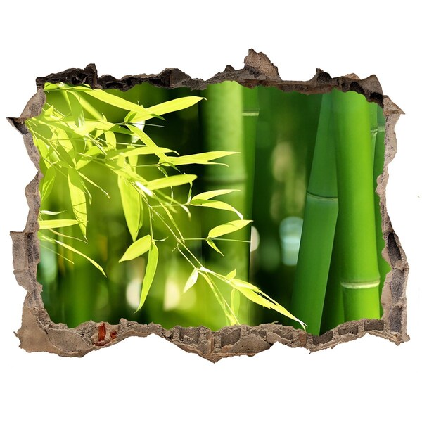 Hole wall sticker Green bamboo forest