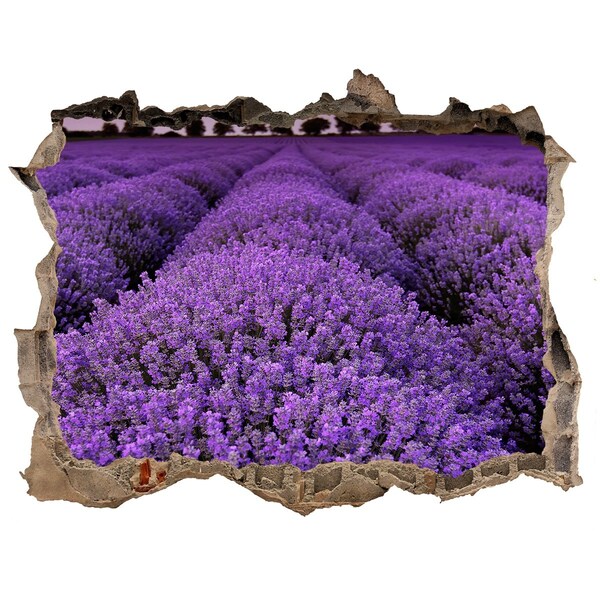 3D wall hole wallpaper A lavender field in full bloom