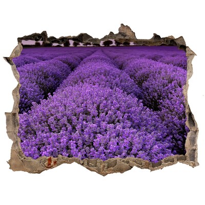 3D wall hole wallpaper A lavender field in full bloom