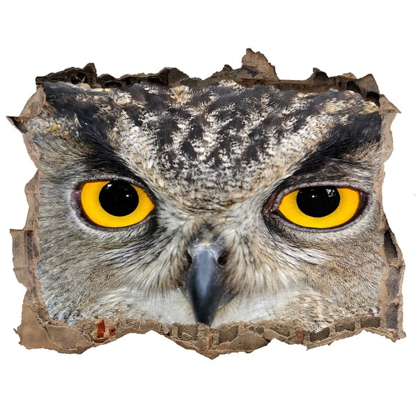 Hole wall sticker Owl in concrete