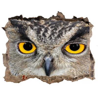 Hole wall sticker Owl in concrete