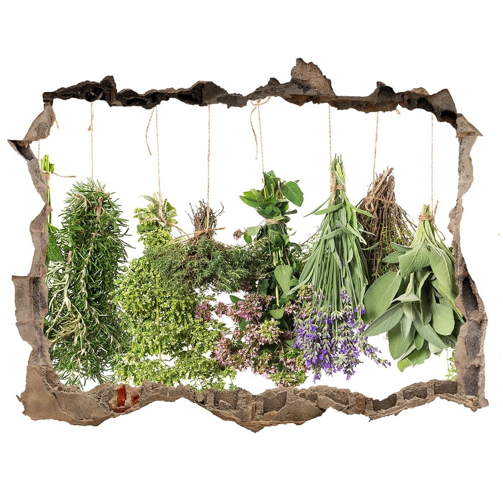 Hole wall sticker Herbs on a string