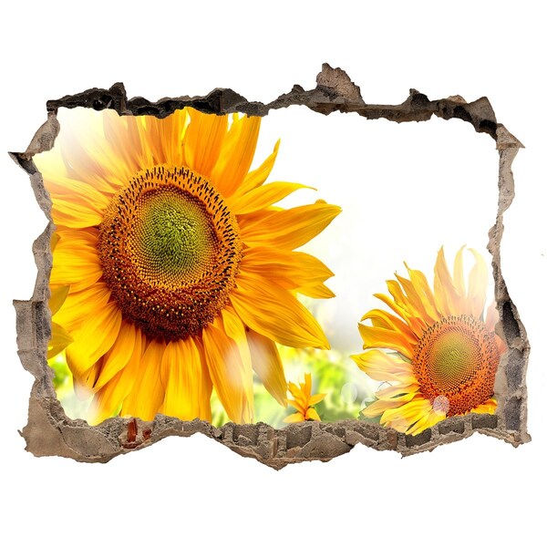 Hole in the wall sticker Sunflowers