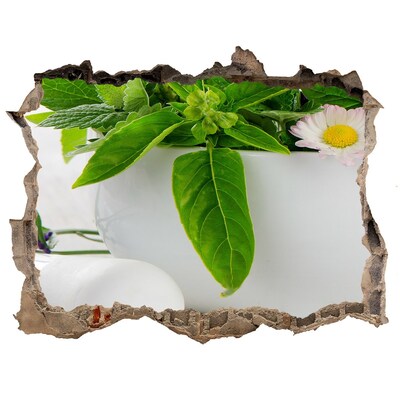 Hole in the wall sticker Green vegetation in the damaged wall