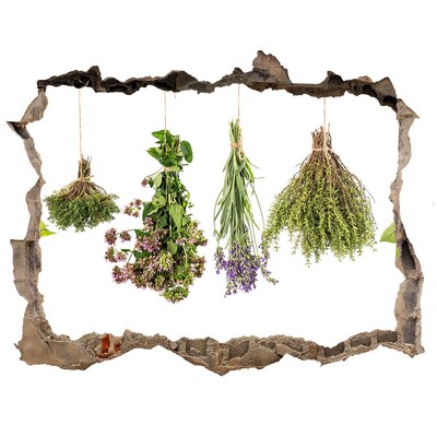 3D wall hole wallpaper Herbal corner in the kitchen
