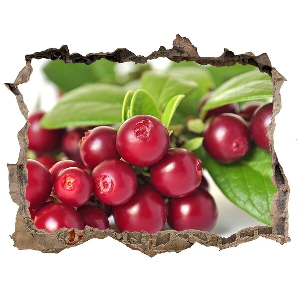 Hole in the wall decal Fruity Hole in the Wall