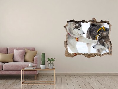 3D wall hole wallpaper Siberian Huskies in action