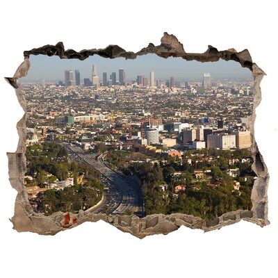 Hole in the wall decal Los Angeles