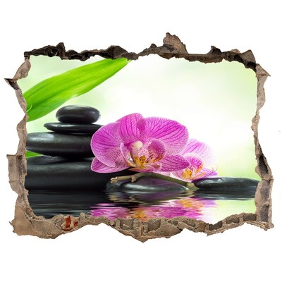 Hole wall sticker Orchid