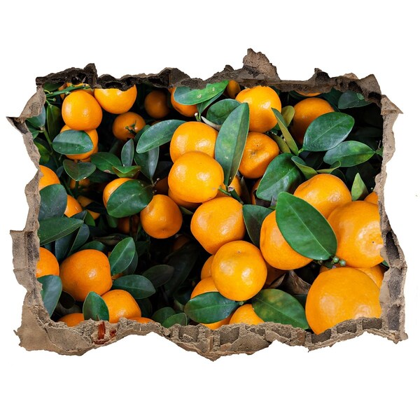 Hole wall sticker Fruit in the orange garden