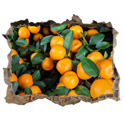 Hole wall sticker Fruit in the orange garden