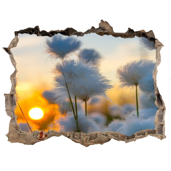 Hole wall sticker Flowers at sunset