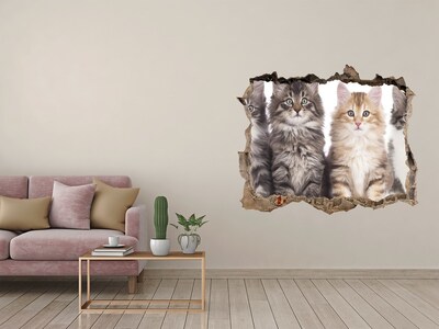 3D wall hole wallpaper Cats in a Hole in the Wall