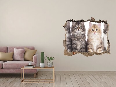 3D wall hole wallpaper Six cats