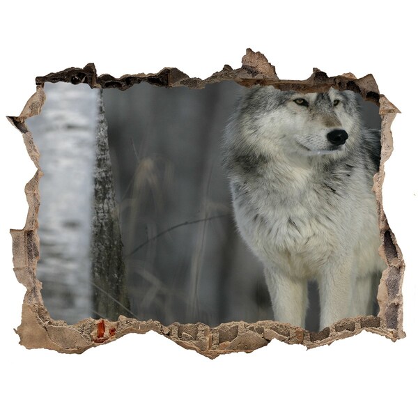 Hole in the wall sticker Gray wolf