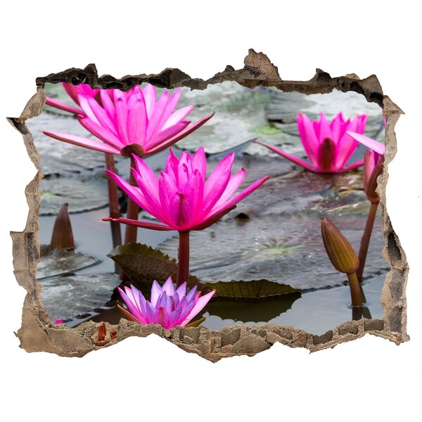 3D wall hole wallpaper Water flowers in the pond
