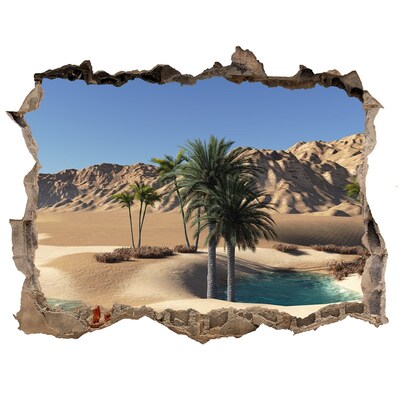 Hole wall sticker An oasis in the desert