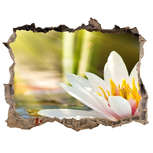 Hole wall sticker water lily