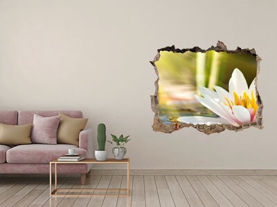 Hole wall sticker water lily