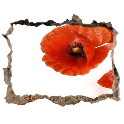 Hole in the wall decal Poppy flowers in a hole in the wall