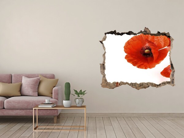 Hole in the wall decal Poppy flowers in a hole in the wall