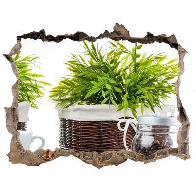 Hole in the wall decal A green oasis in the comfort of your home