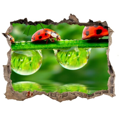 Hole in the wall decal Ladybugs