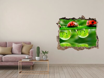 Hole in the wall decal A Drop of Nature with a Ladybug