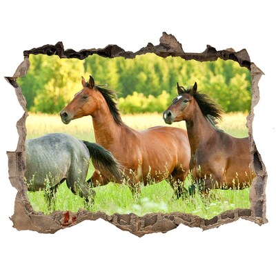 3D wall hole wallpaper Running horses in nature