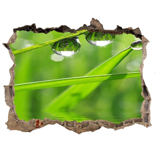 3D wall hole wallpaper Green oasis with water drops