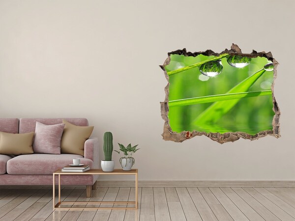 3D wall hole wallpaper Drops on the grass