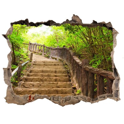 Hole wall sticker Forest path in the mountains