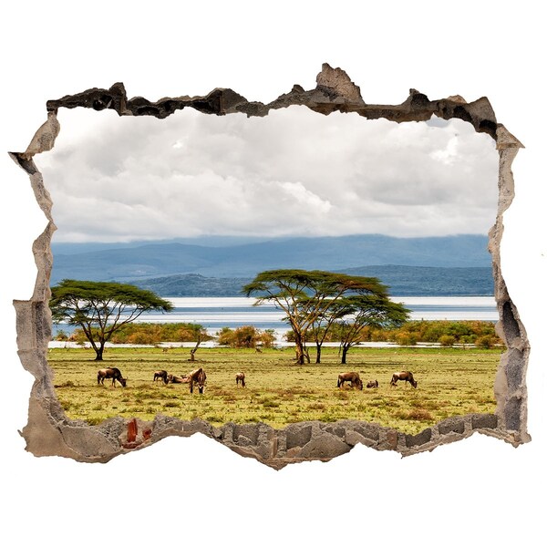 Hole in the wall sticker African landscape with wild animals
