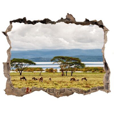 Hole in the wall sticker African landscape with wild animals