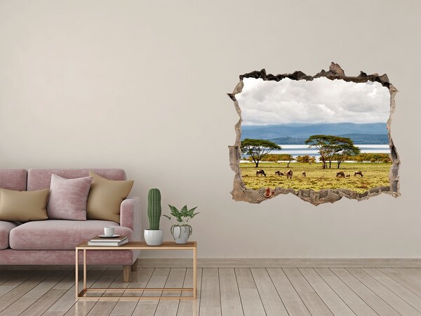 Hole in the wall sticker Naivasha Lake